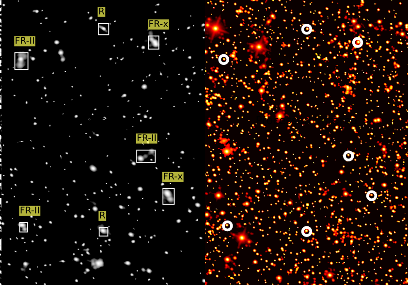 Multimodal Dataset and Benchmark for Radio Galaxy