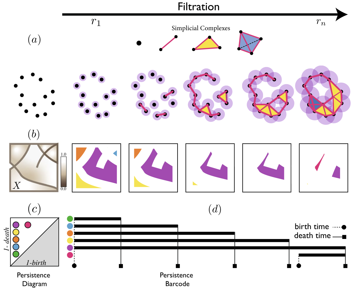 Topological deep learning